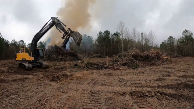 Land Clearing and Site Work in Sorrento Florida