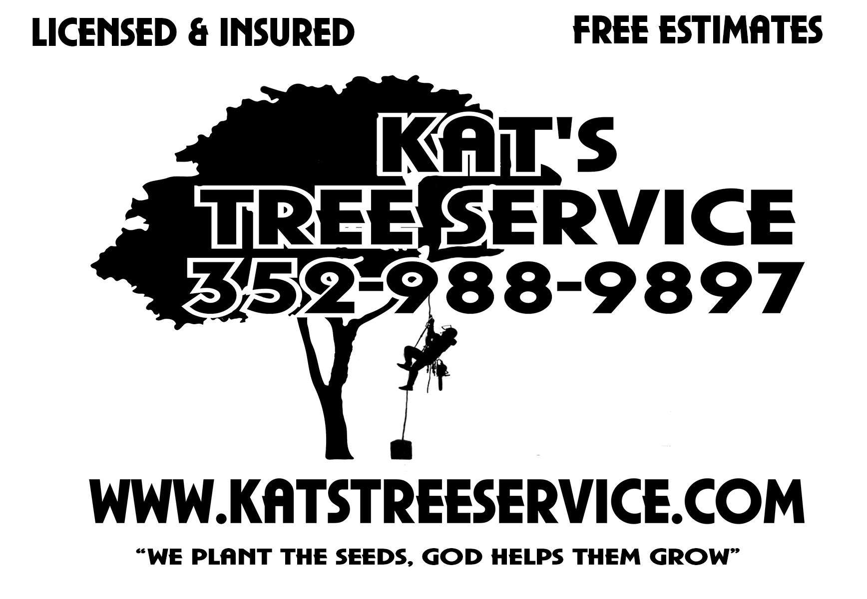 Kats Tree Service - Mount Dora, FL