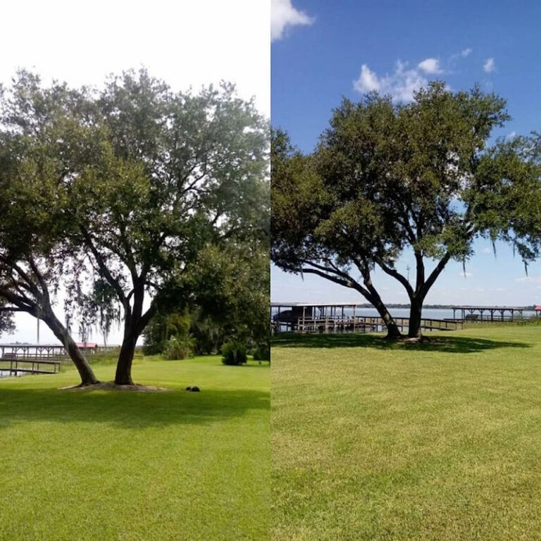 Deer Island Tree Trimming Project by Kats Tree Service