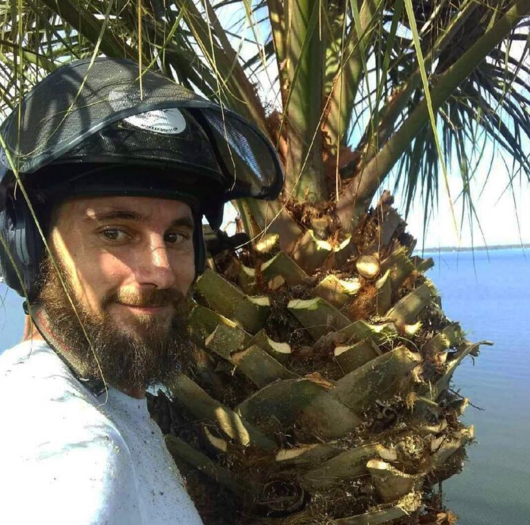 Palm Tree Trimming by Kats Tree Service