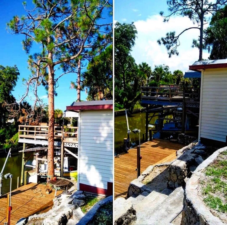 Tree Removal in Tavares by Kats Tree Service