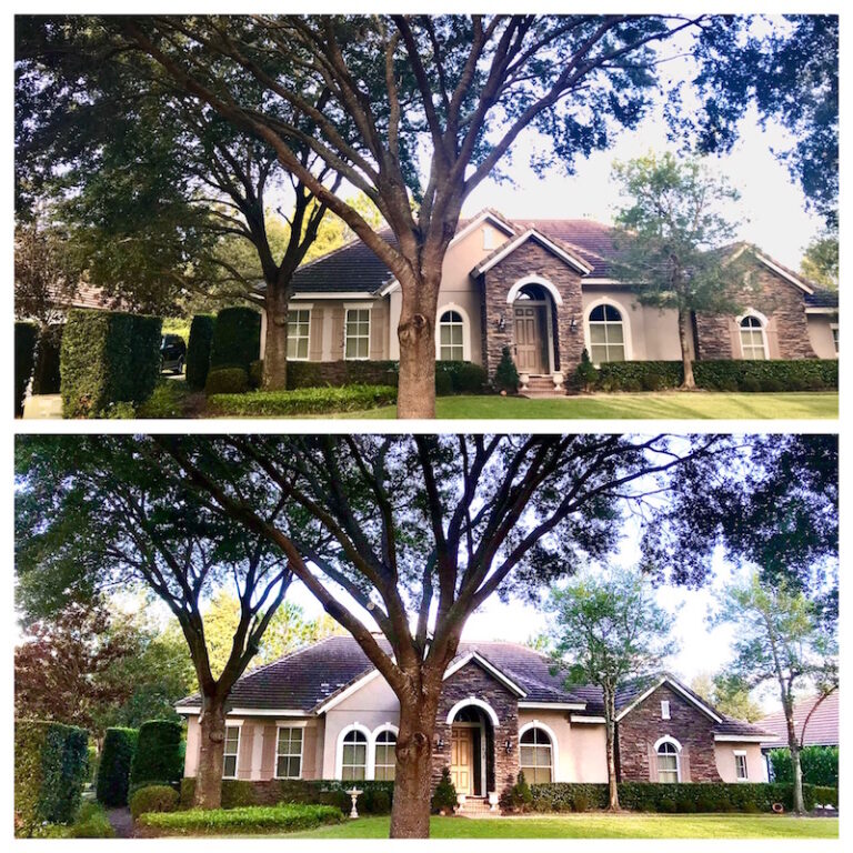 Oak Tree Trimming Sorrento,FL