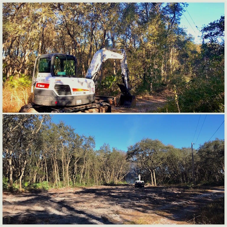 Land Clearing Service in Mount Dora, FL by Kats Tree Service