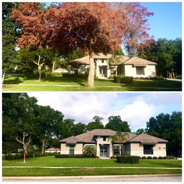 Oak Tree Removal in Redtail Sorrento, FL