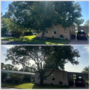 Tree Trimming by Kats Tree Service in Fruitland Park, FL