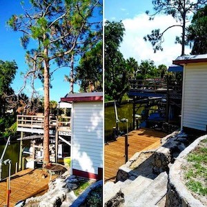 Technical Tree Removal Services in Tavares, FL by Kats Tree Service