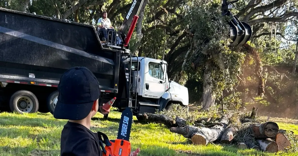 Tree Service Near Me
