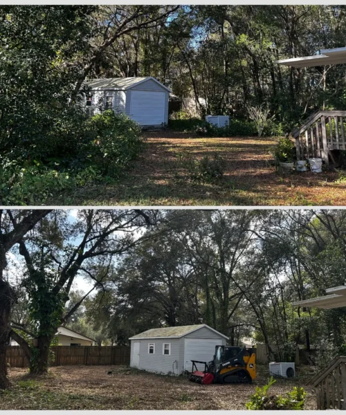 Forestry Mulching and Land Clearing in Lake County, FL